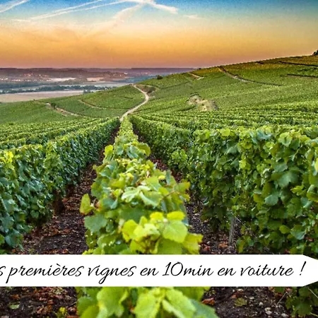 L'eclat Champenois - Terrasse-gare-arena アパート *