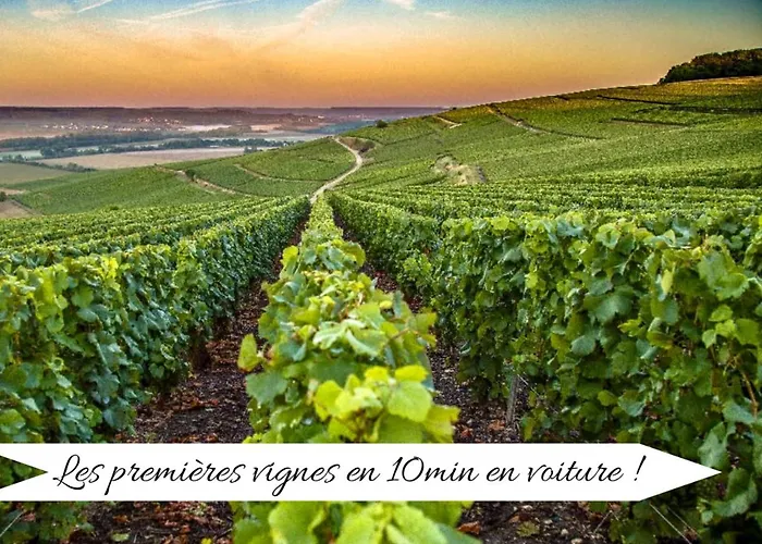 L'eclat Champenois - Terrasse-gare-arena Lejlighed *